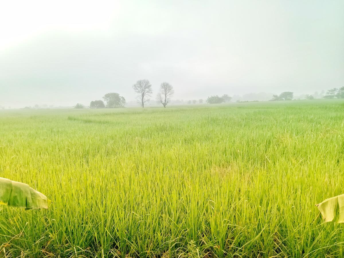 Jaisabai Homestay Mae Ai Exteriér fotografie